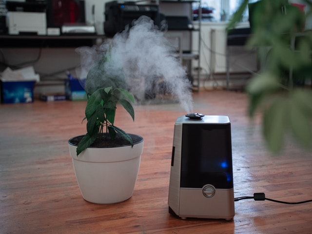 Ways to Tell if Your Air Purifier is Working